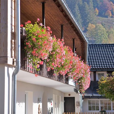 Albhof Am Wasserfall St. Blasien Exterior foto