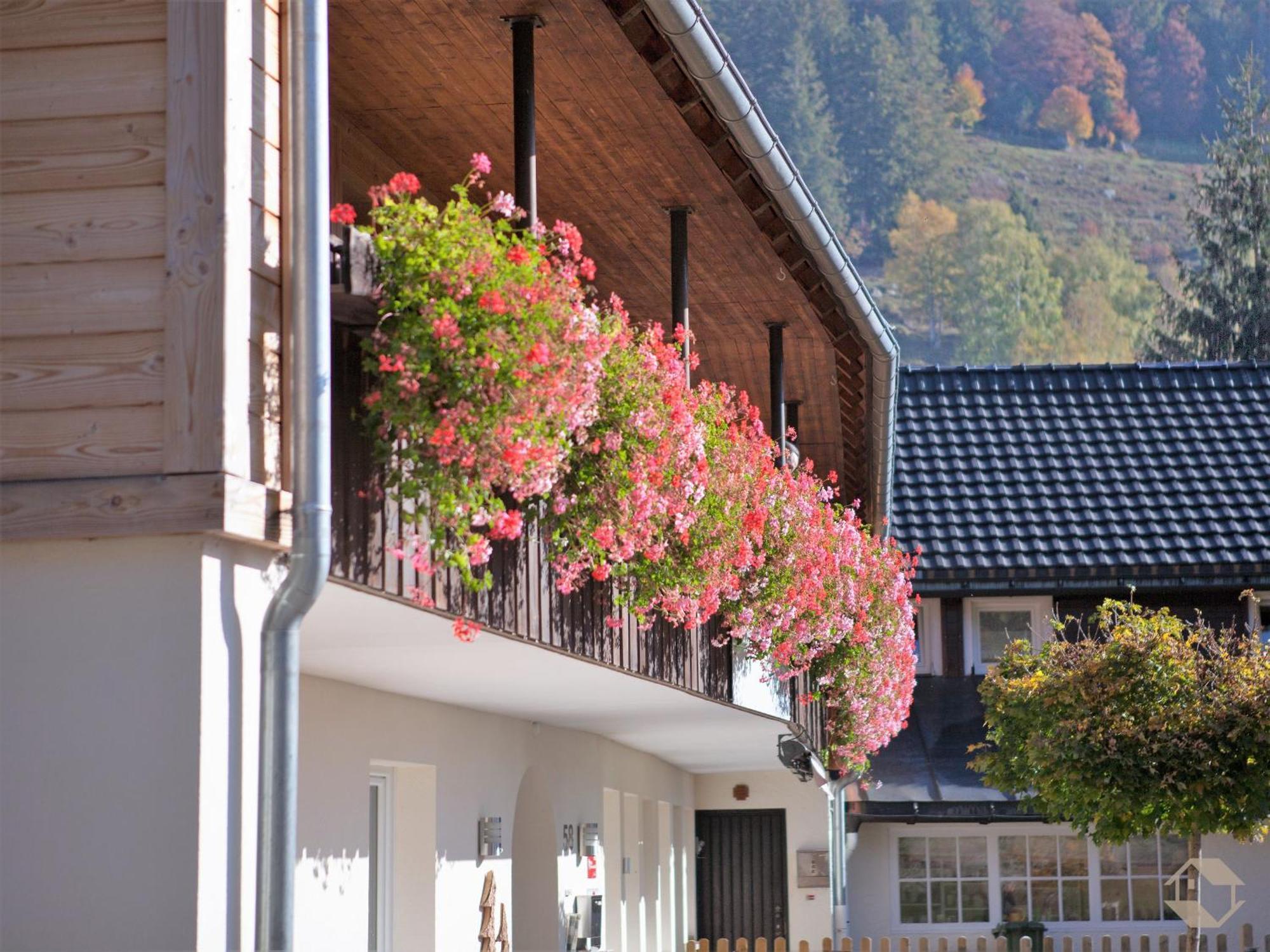 Albhof Am Wasserfall St. Blasien Exterior foto